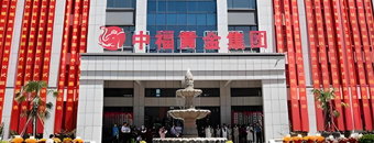 中福黃金集團(tuán)